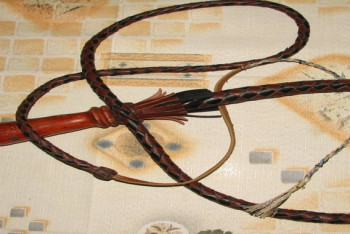 Фотография к новости: За лечение камчой целители из Казахстана попали под следствие в России