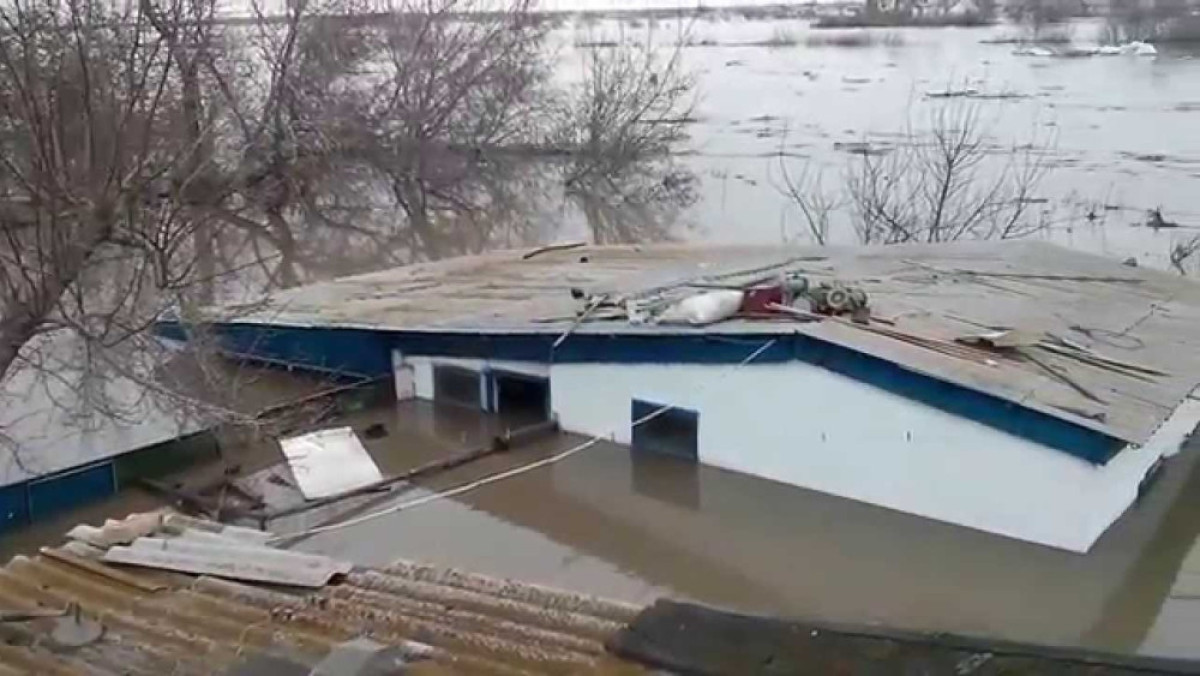  из открытых источников