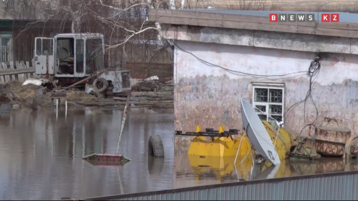  кадр из видео