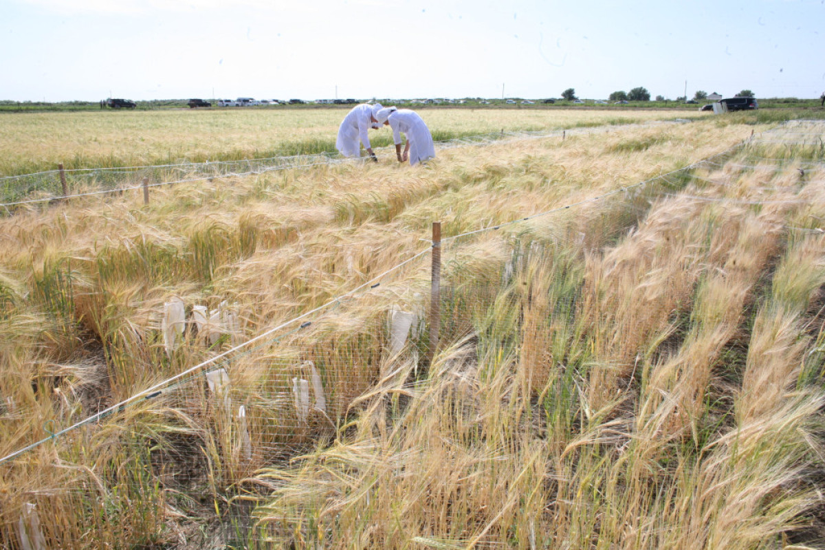  Марьяна Касимова