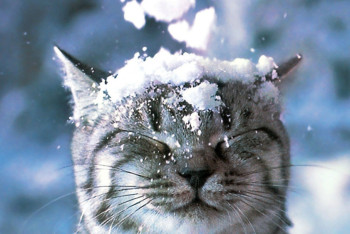 Фотография к новости: Во вторник на территории Казахстана ожидается погода без осадков