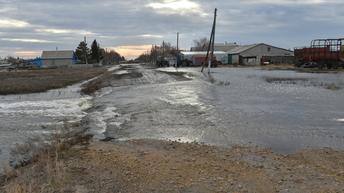  Светлана Боярская