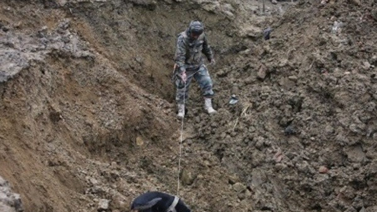  из свободных источников 