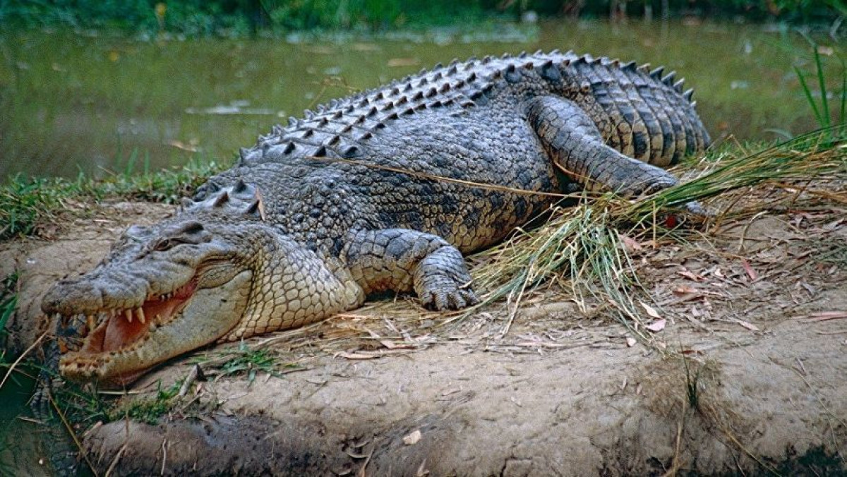  РИА Новости