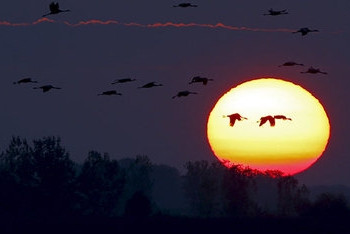 Фотография к новости: На Солнце произошла самая мощная за 12 лет вспышка