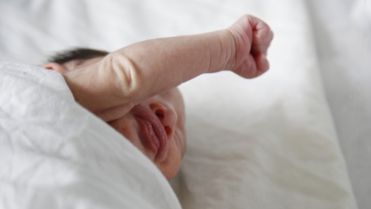  из свободных источников 