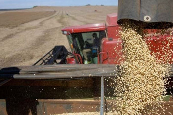 Фотография к новости: В СКО водитель украл и продал 23 тонны зерна