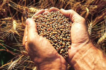 Фотография к новости: Безработных жителей Актобе переселят в поселки