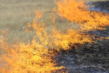Фотография к новости: Глава МВД рассказал о степени пожарной опасности этим летом