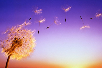 Фотография к новости: В среду казахстанцев ожидает ветреная погода без осадков