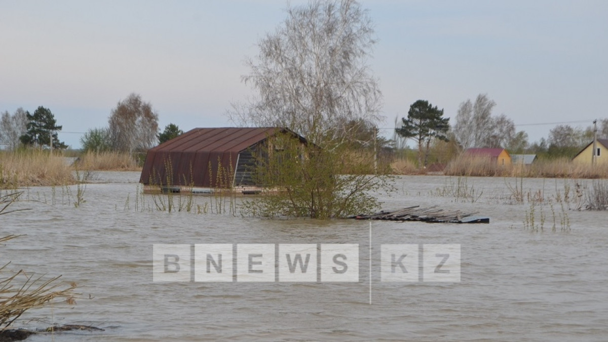  Светлана Боярская
