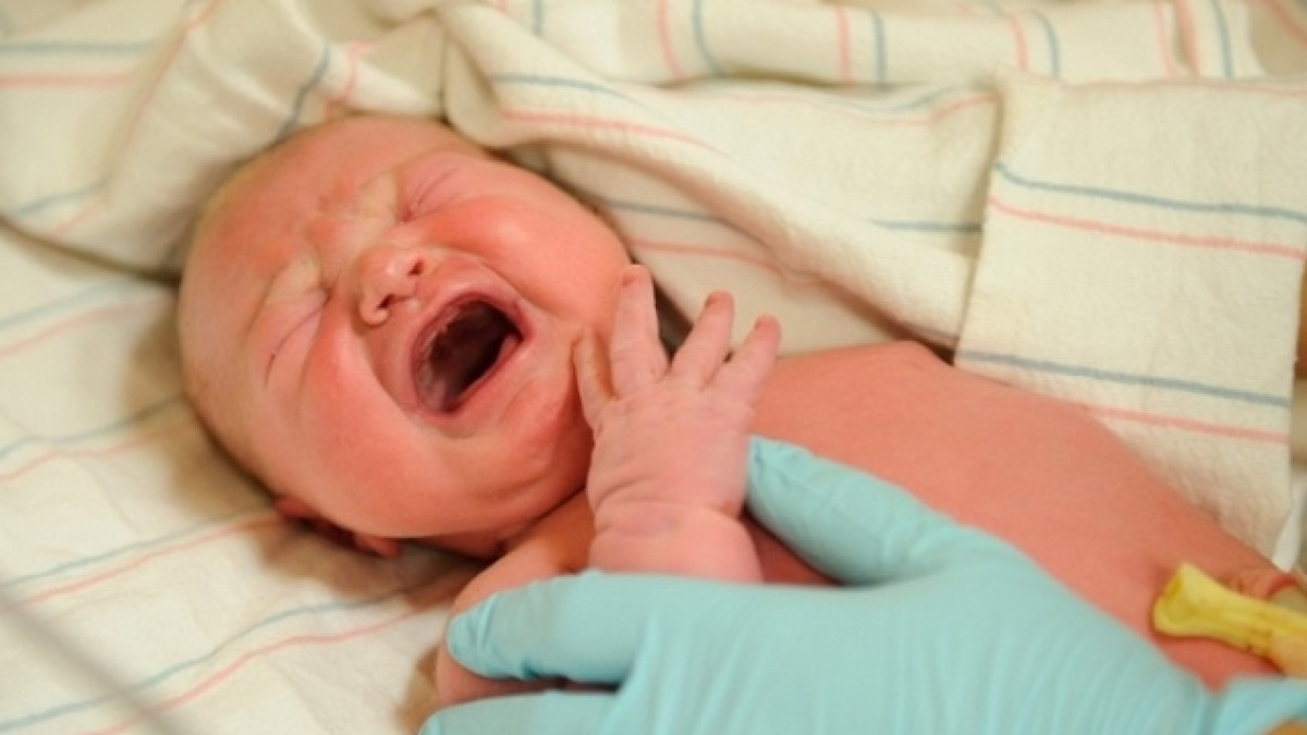  из свободных источников 