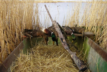 Фотография к новости: Охотничий сезон открылся в Казахстане