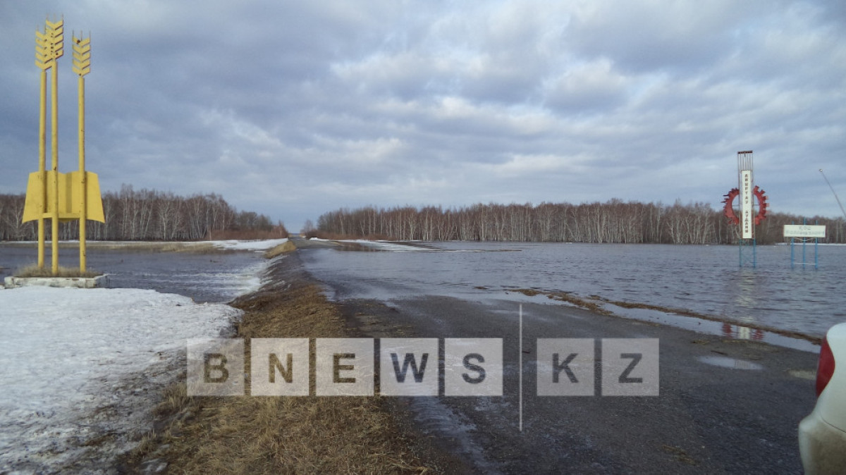  Светлана Боярская