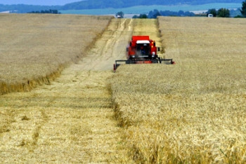 Фотография к новости: Точечные консультанты для фермеров появятся в Казахстане 