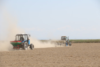 Фотография к новости: В Приаралье аграрии завершили сев кормовых культур