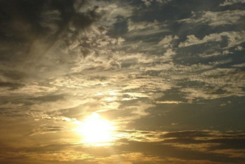 Фотография к новости: Пхукет окружили ядовитые «кораблики»