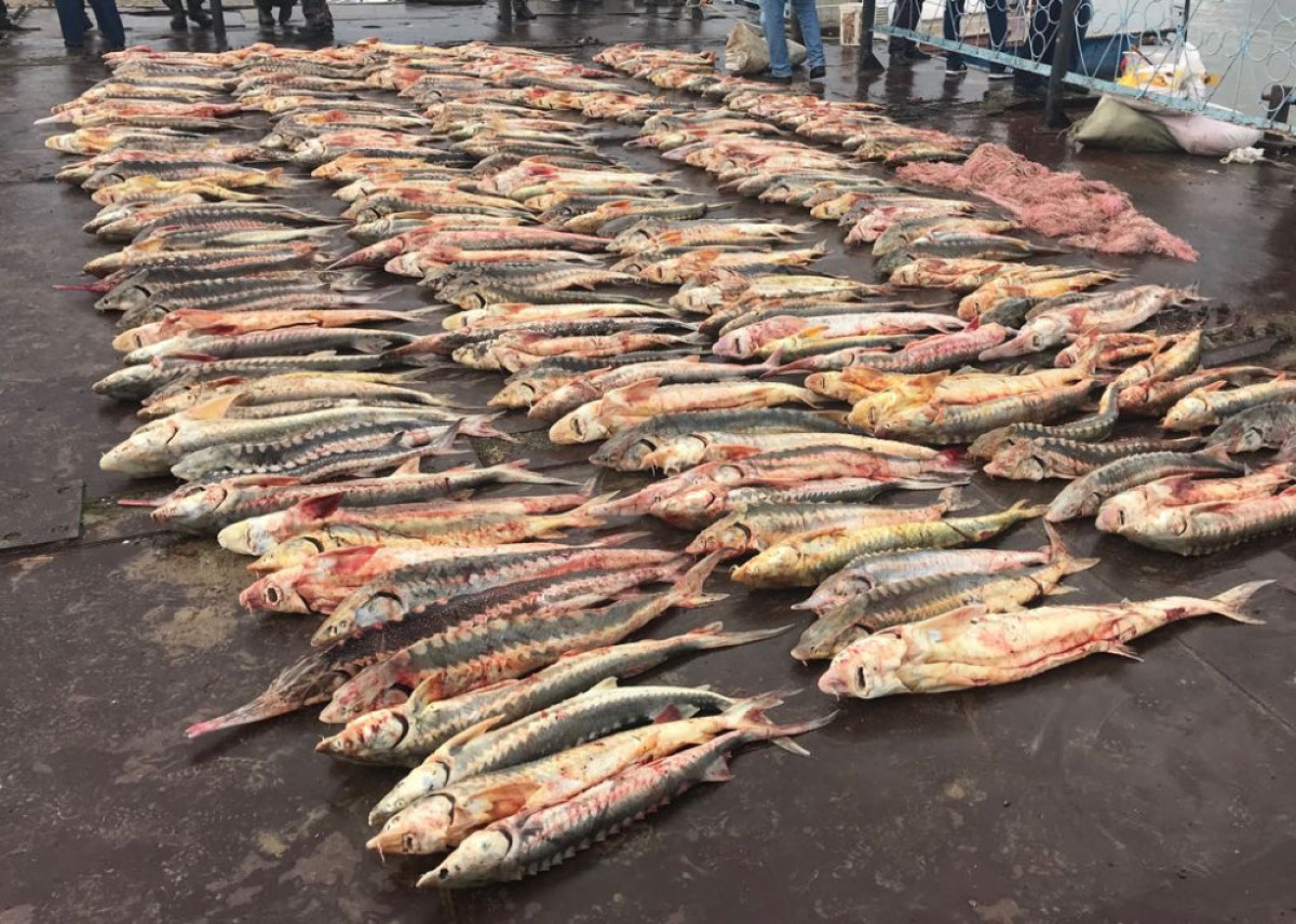  Служба коммуникаций Атырауской области