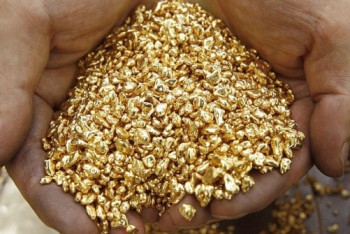 Фотография к новости: Добывать драгоценные металлы в Казахстане станет проще