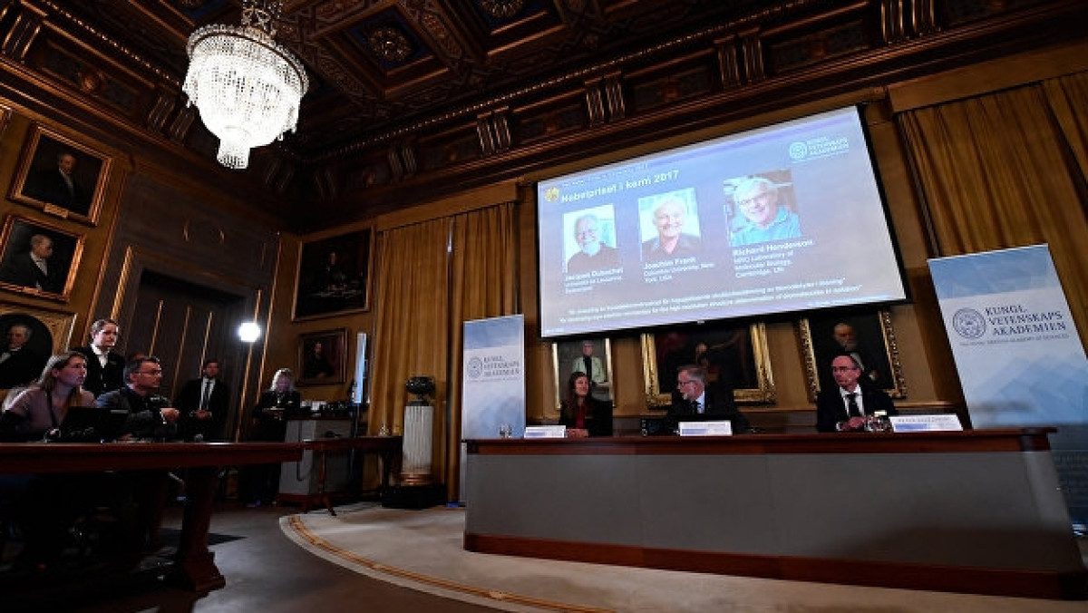   AFP 2017 / Jonathan Nackstrand