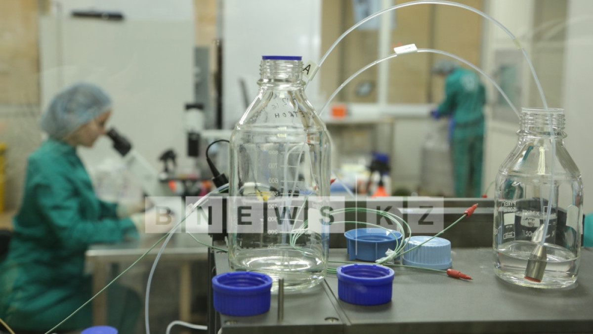  Фотоархив BNews.kz