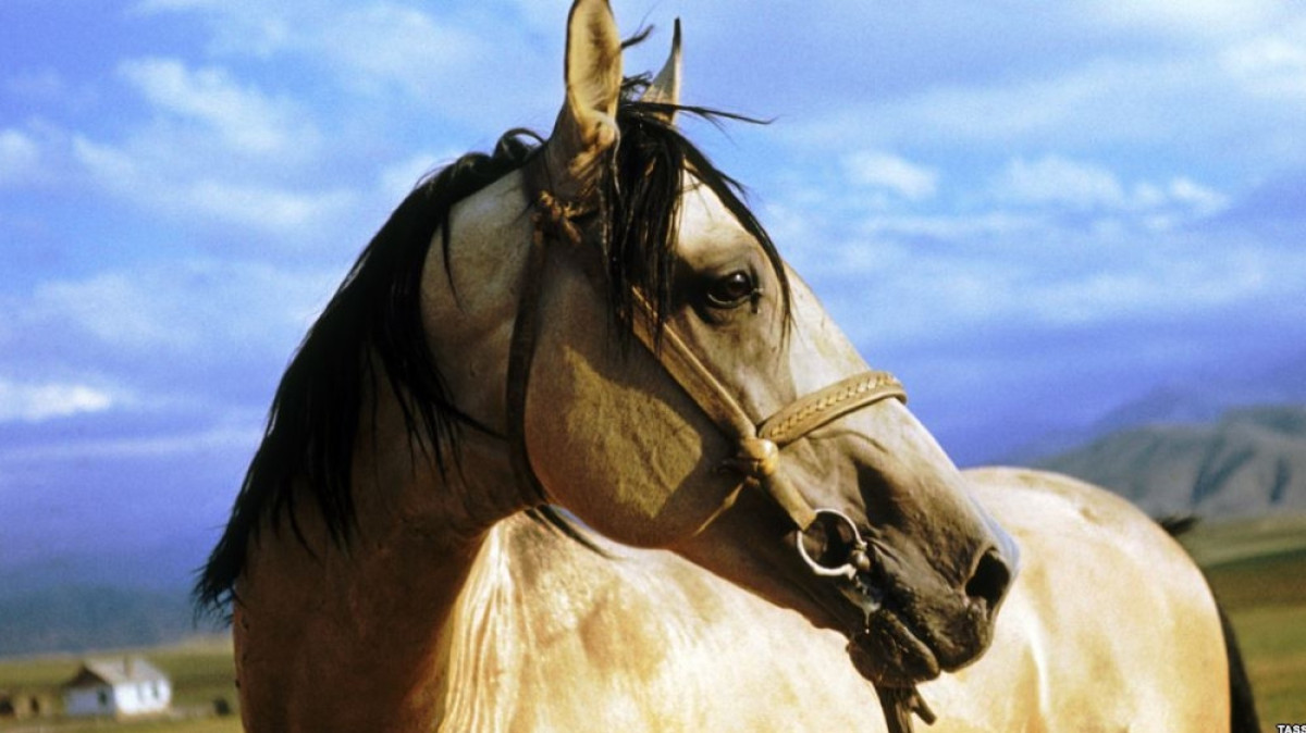  Радио Озодлик