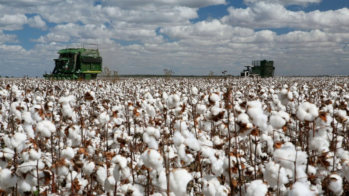  Самат Мырзалиев