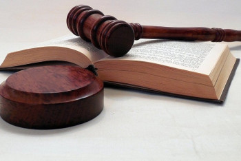 Фотография к новости: Конфискованное имущество коррупционеров хотят отдавать детдомам