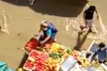 Фотография к новости: Астанчане сняли на видео продавца, моющего в грязной луже овощи