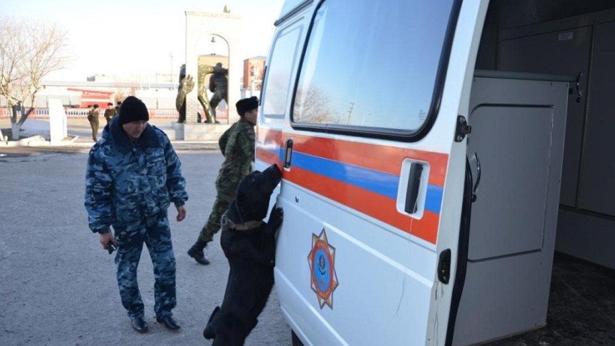  Марьяна Касимова