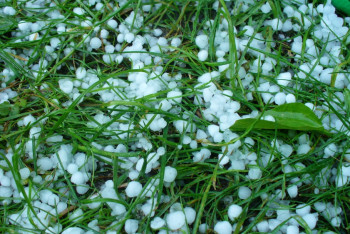 Фотография к новости: В Астане объявлено штормовое предупреждение из-за возможного града