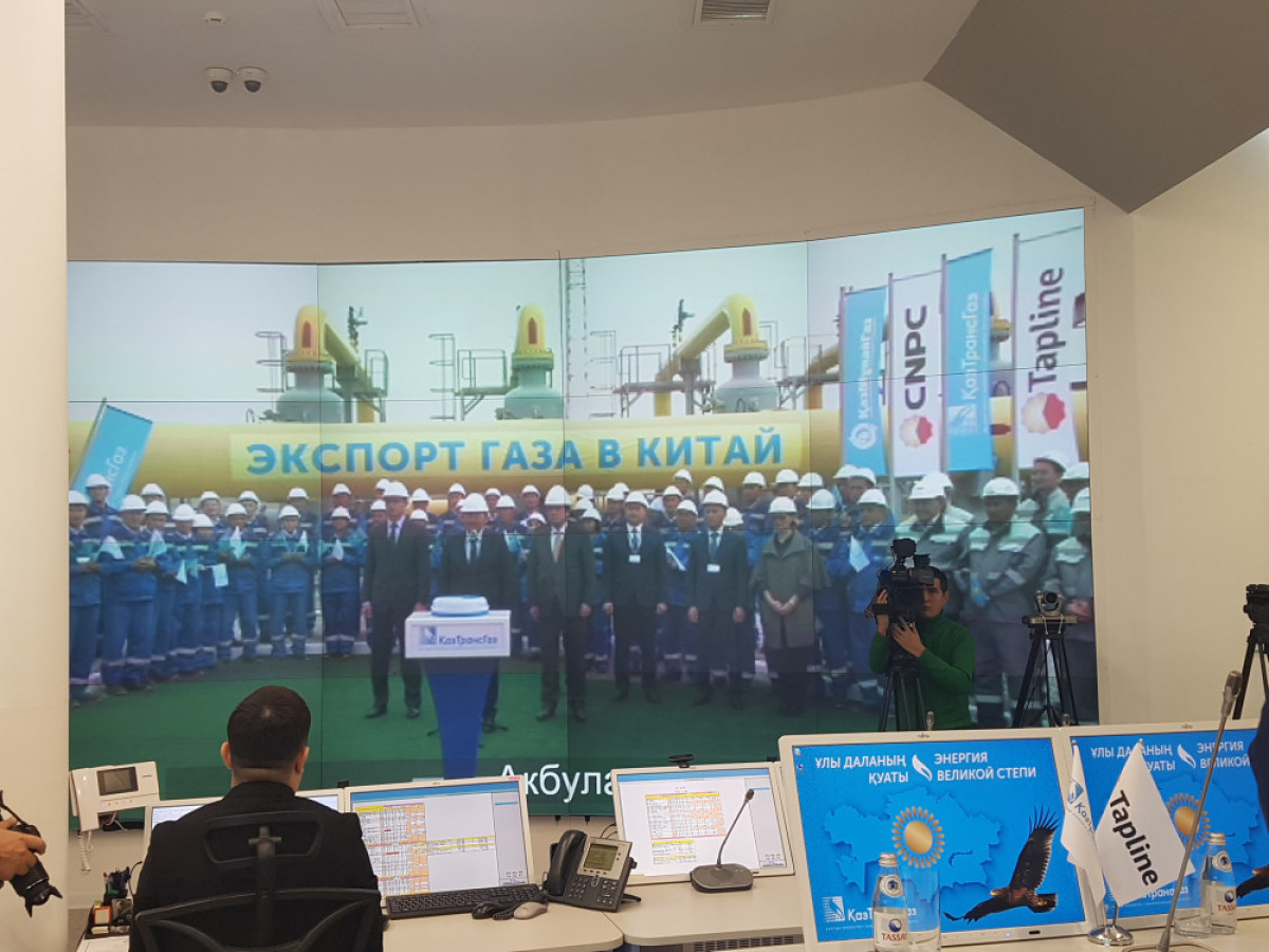  Ботагоз Айтжанова