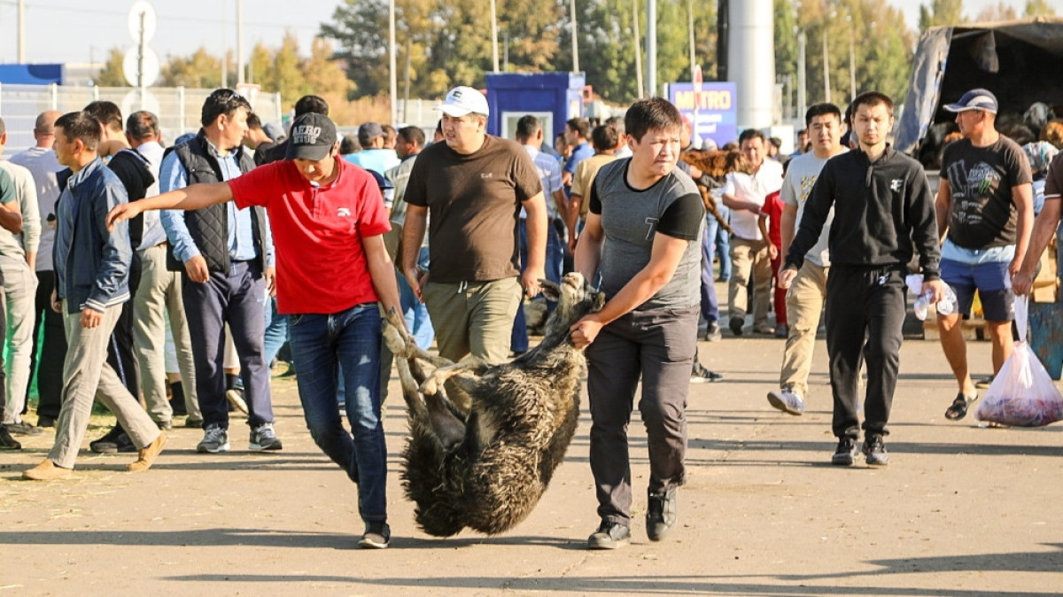  Бауыржан Жуасбаев