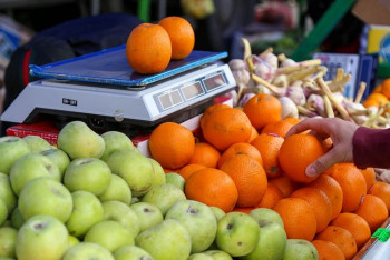 Фотография к новости: В Астане пройдет сельхозярмарка четырех областей