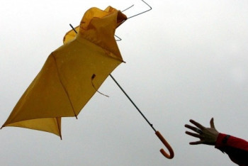 Фотография к новости: В нескольких областях Казахстана прогнозируют усиление ветра