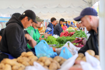 Фотография к новости: Рост цен на уголь, овощи и фрукты могут спровоцировать ускорение инфляции - Нацбанк