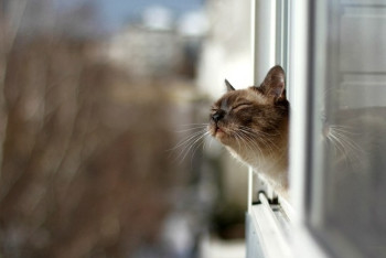 Фотография к новости: Конец октября будет теплым – Казгидромет