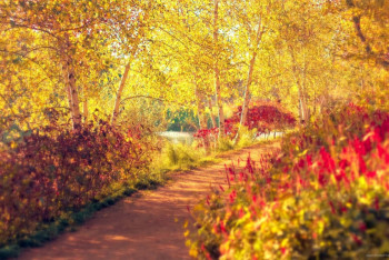 Фотография к новости: Ясная погода без осадков ожидает казахстанцев в понедельник