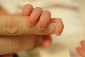 Фотография к новости: В РК выявлен регион с самой высокой рождаемостью