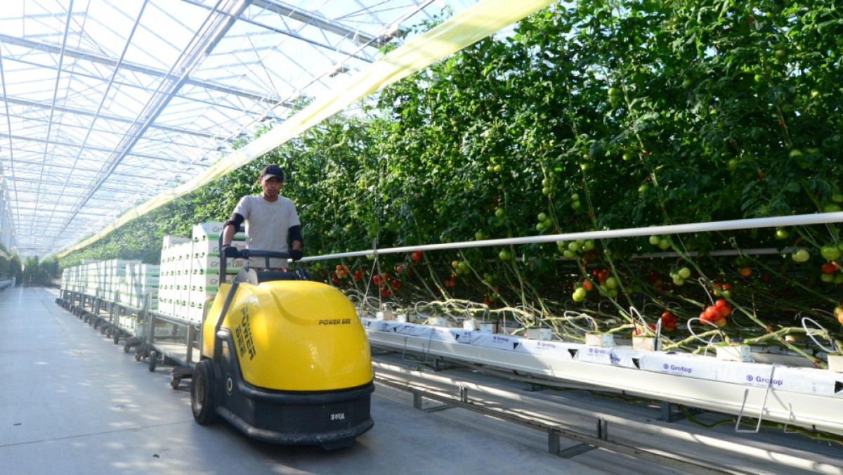  Дмитрий Ерофеев