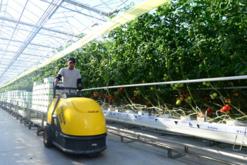 Фотография к новости: Новый вектор развития переживает Капшагай (ФОТО)