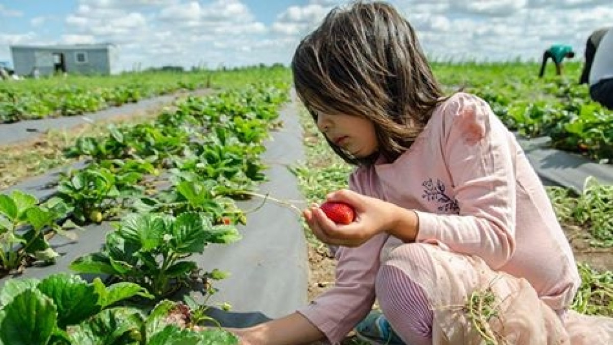  из архива предприятия