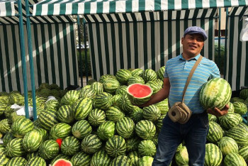 Фотография к новости: Более 25 тонн арбузов и дынь привезли фермеры на фестиваль «Arbuz Fest 2017»