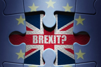 Фотография к новости: В Великобритании могут запустить процедуру Brexit 14 марта