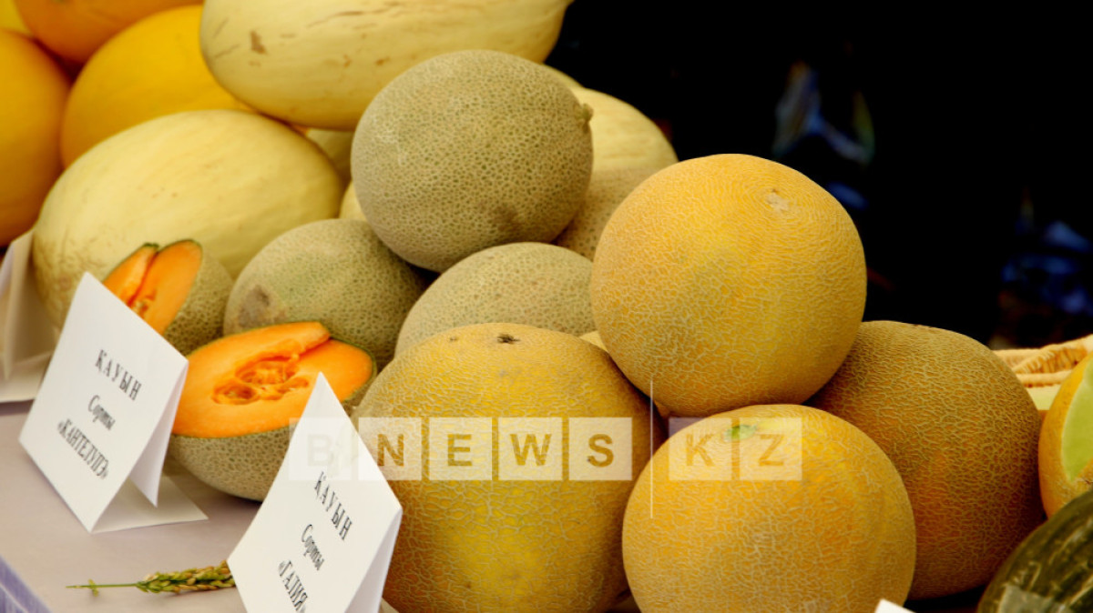  Марьяна Касимова