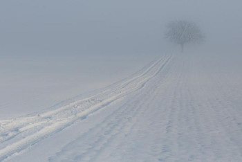 Фотография к новости: Сразу в трех областях Казахстана закрыты дороги