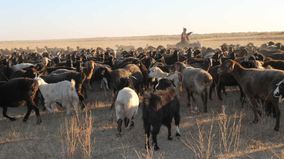  Марьяна Касимова