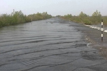 Фотография к новости: Спасатели обнаружили тела трех утонувших в паводковых водах в Карагандинской области