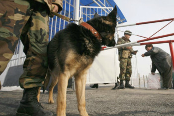 Фотография к новости: 80 камер наружного наблюдения мужчина пытался пронести в Казахстан из Китая
