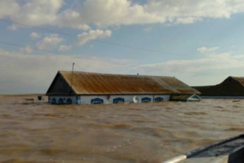 Фотография к новости: Районы Акмолинской области ежедневно получают гуманитарный груз